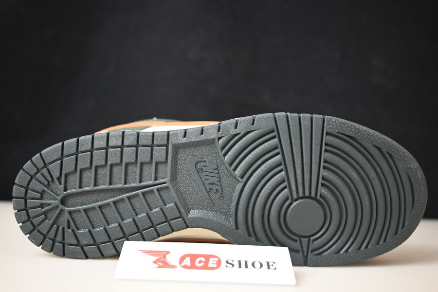 nike dunk sb low "eire" 304292-185