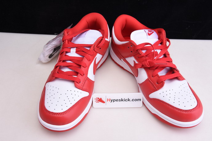 nike dunk low retro sp 